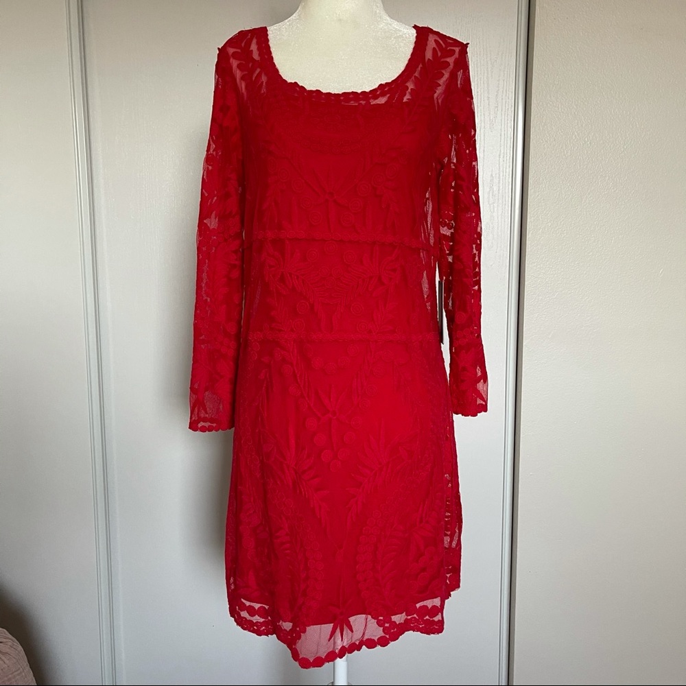Express Red Lace Dress